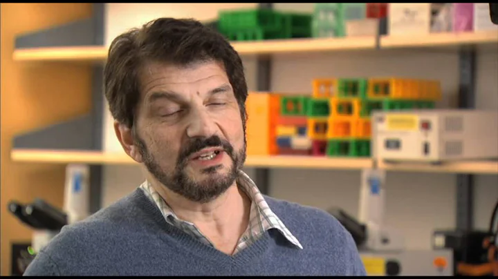 Ready, steady, cook: a fresh take on science teach...