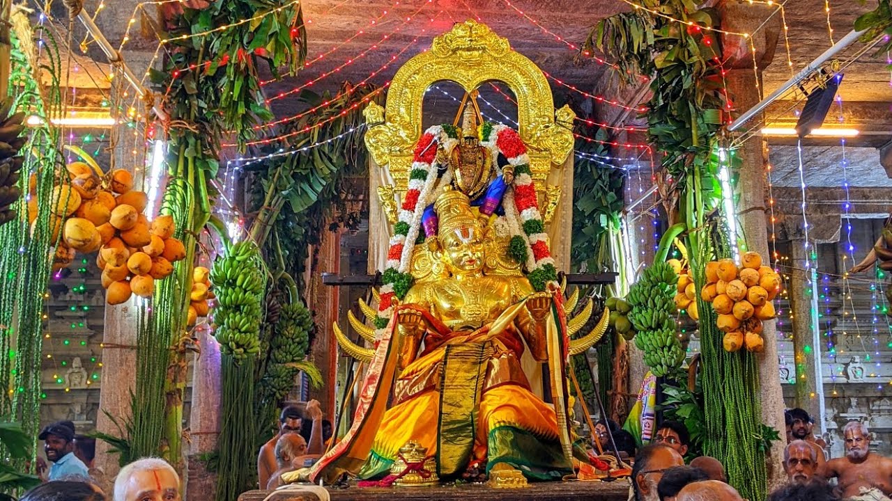 நான்குநேரி ஸ்ரீவானமாமலை பெருமாள் திருக்கோவில் கார்த்திகை உத்ராடம் எண்ணெய்க்காப்பு கருடசேவை 5-12-2024