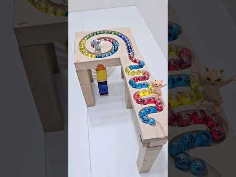 Marble Run Race ASMR 🌈✨️🪼✨️  With Dancing Cats Haba Double Wave Slope Wooden #shorts