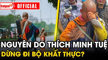 Nguyên do ông Thích Minh Tuệ tự nguyện DỪNG VIỆC ĐI BỘ KHẤT THỰC | Tin SaigonTV