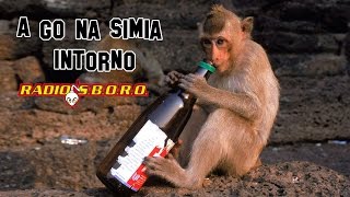Video thumbnail of "A Go Na Simia Intorno - RadioSboro"