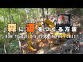 #52 ひとりで森に道を作る方法 | ビフォーアフター