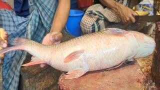 I Never Seen!! Giant Monster Mrigal Fish Cutting & Skinning Skills In Dhaka Fish Market