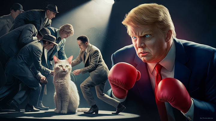 The Kiffness-Eating Cats ft Donald Trump (Debate Remix) Animation Song