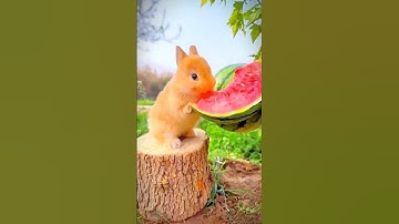 تلاوة عطرة للقارئ خالد الجليل من سورة ق