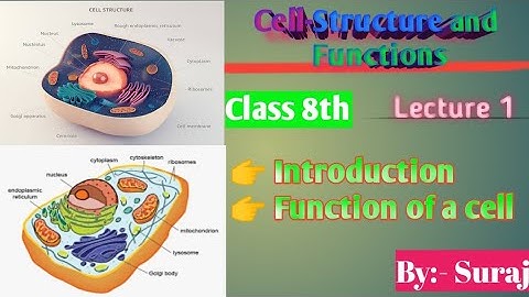 Cell Structure and Functions/Full Chapter Class 8 Science/NCERT Science/Chapter 8/Science By Suraj