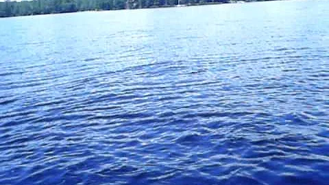 willette video 2