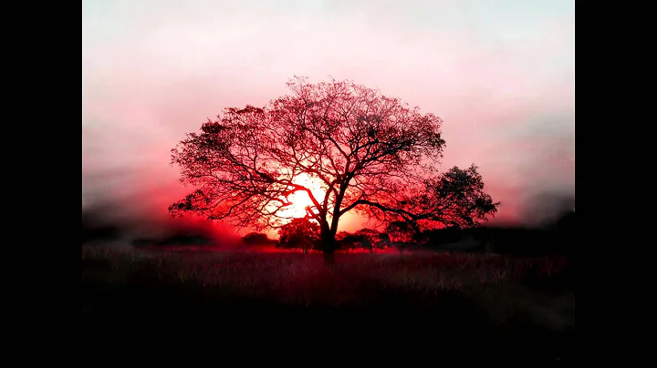 King Arthur 2004 Soundtrack Hans Zimmer - Tell Me Now with Lyrics