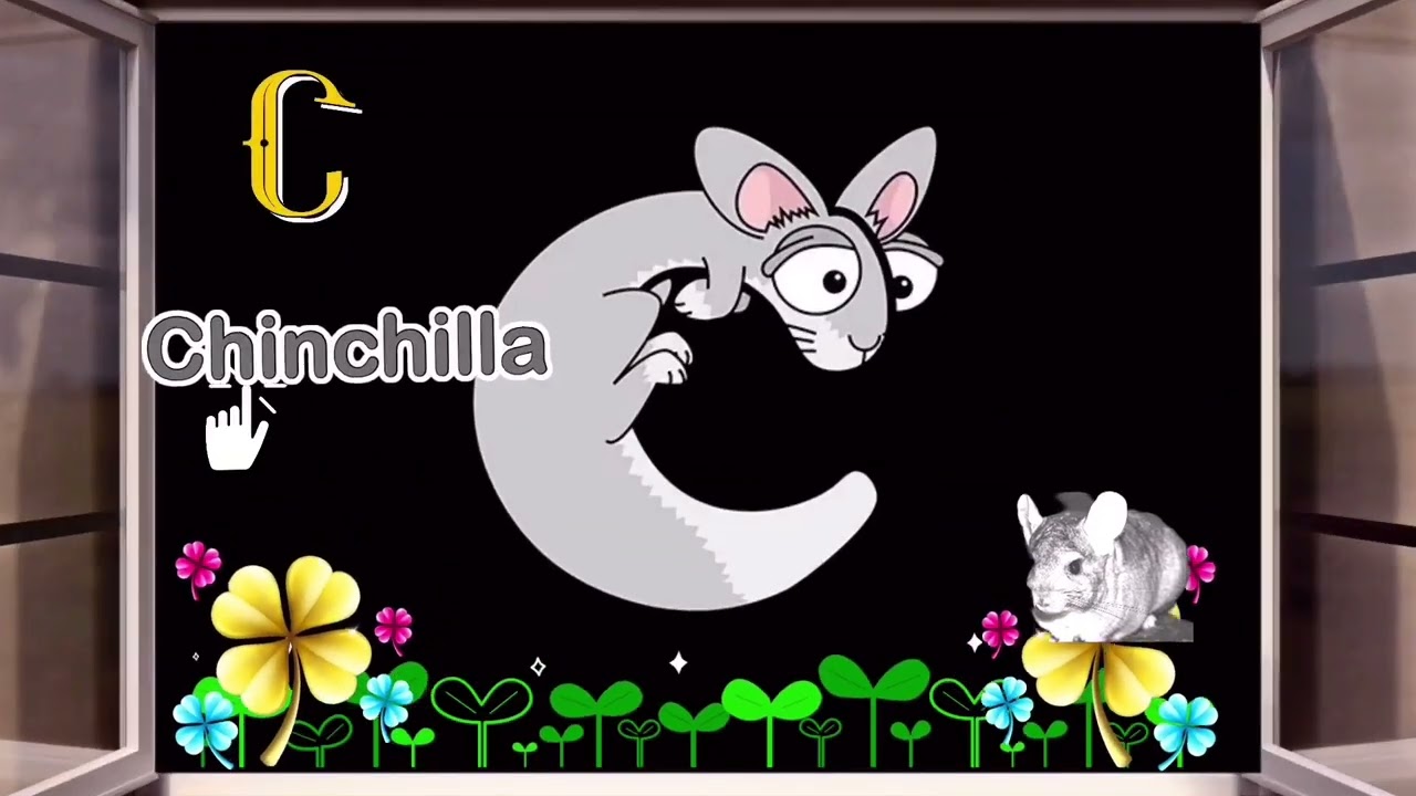 Discovering Incredible Animals That Begin With The Letter C