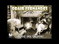 A voz dos galpes  odair fernandes o guasca