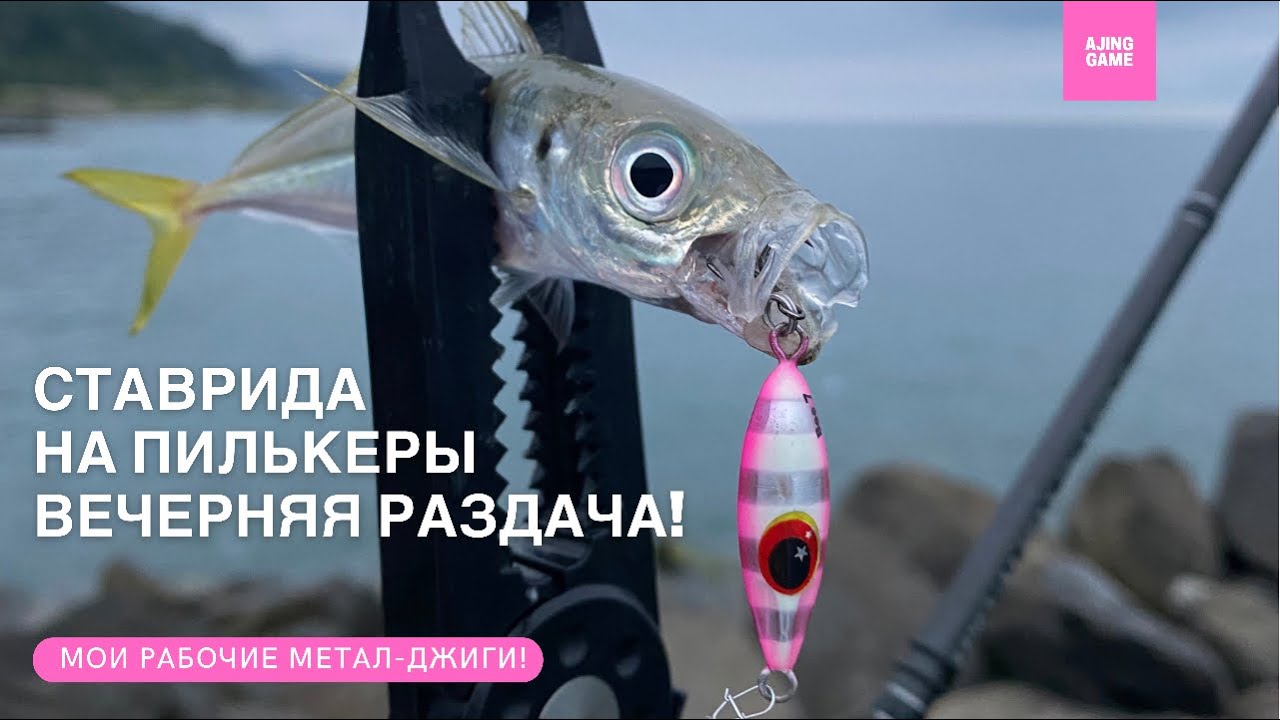 СТАВРИДА НА ПИЛЬКЕРЫ! ВЕЧЕРНЯЯ РАЗДАЧА! Мои рабочие метал-джиги