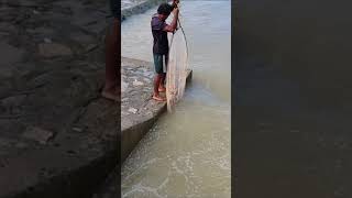 Real Life fishing, Fishermen Dip Net Fishing In The River [part 850] #fish #fishingvideo #reallife