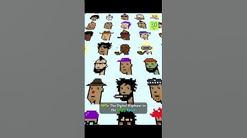 NFTs The Digital Elephant in the WEB3 Space | 3.0 TV #nft #digital #web3 #cryptocurrency