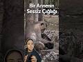 Bir annenin sessiz çığlığı… #maymun #anne #kayıp #hayvanatbahçelerinehayır #hüzün #hayvanlar