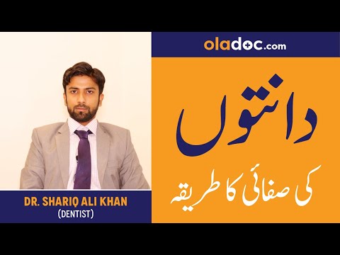 What Are The Basic Steps for Healthy Dental Care Routine Danto Ko Saaf Rakhna ka Tariqa Urdu Hindi thumbnail image