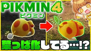 【ピクミン】完全初見！ロリ声小学生VTuberが完全初見でピクミン４をやってみる！！5回目【ロリ声小学生VTuberあのちゃん🐶 📛】
