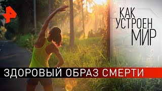 Здоровый образ смерти. "Как устроен мир" с Тимофеем Баженовым (08.10.19). Здоровый образ смерти. "Как устроен мир" с Тимофеем Баженовым (08.10.19).