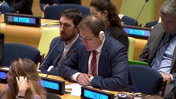 Statement by DPR Dmitry Chumakov at the CERF High Level Pledging Conference
