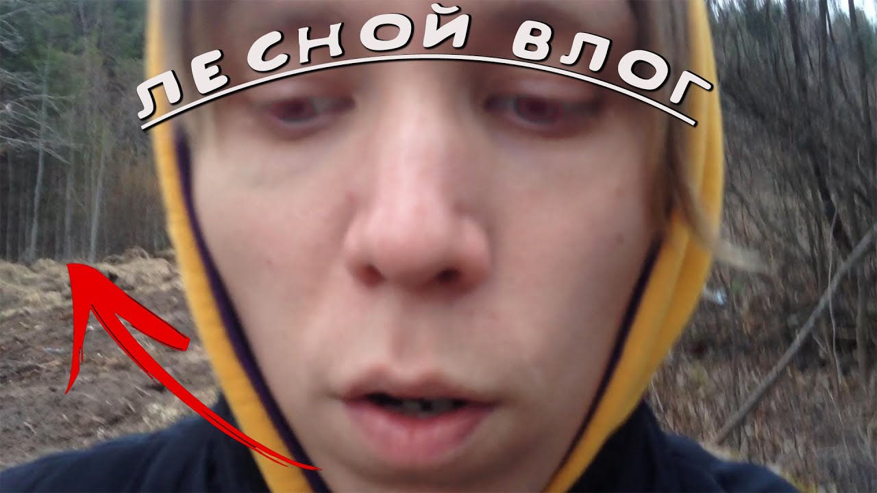 ВЛОГ у лесной опушки в деревне - YouTube