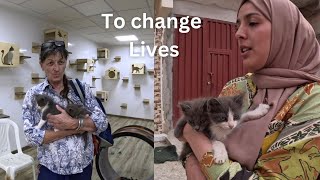 2 kittens were left next to the house|| We will try to change their lives.