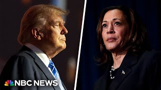 Trump plays ‘card of division’ when he questions Harris’ racial identity, Democratic senator says