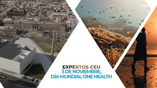 Hoy se celebra el Día Mundial One Health