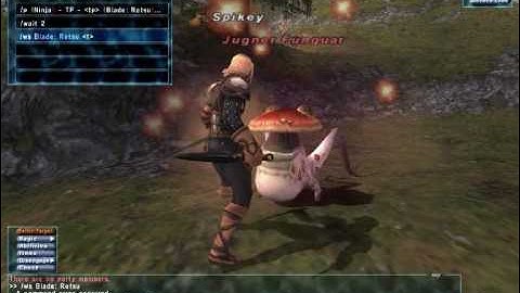 FFXI Fraps Test