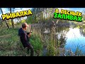 Рыбалка в лесных заливах, на карпа и карася.