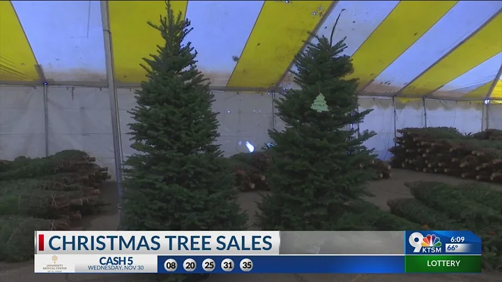 As the holidays arrive in the borderland, prices for real Christmas trees go up