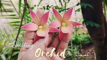 Diy Orchid Flower / 3D QUILLING ORCHID Flower Tutorial