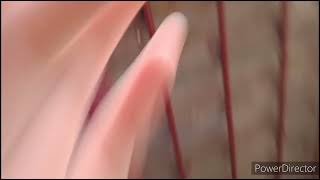 День Весны 12 Запахлой Весной 2022