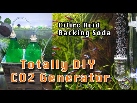 DIY CO2 Citric
