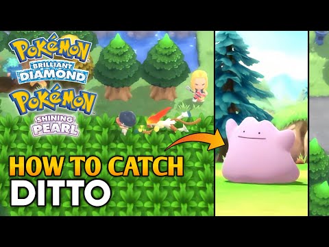 Where To Find and Catch Ditto in Pokemon Brilliant Diamond & Shining Pearl  
