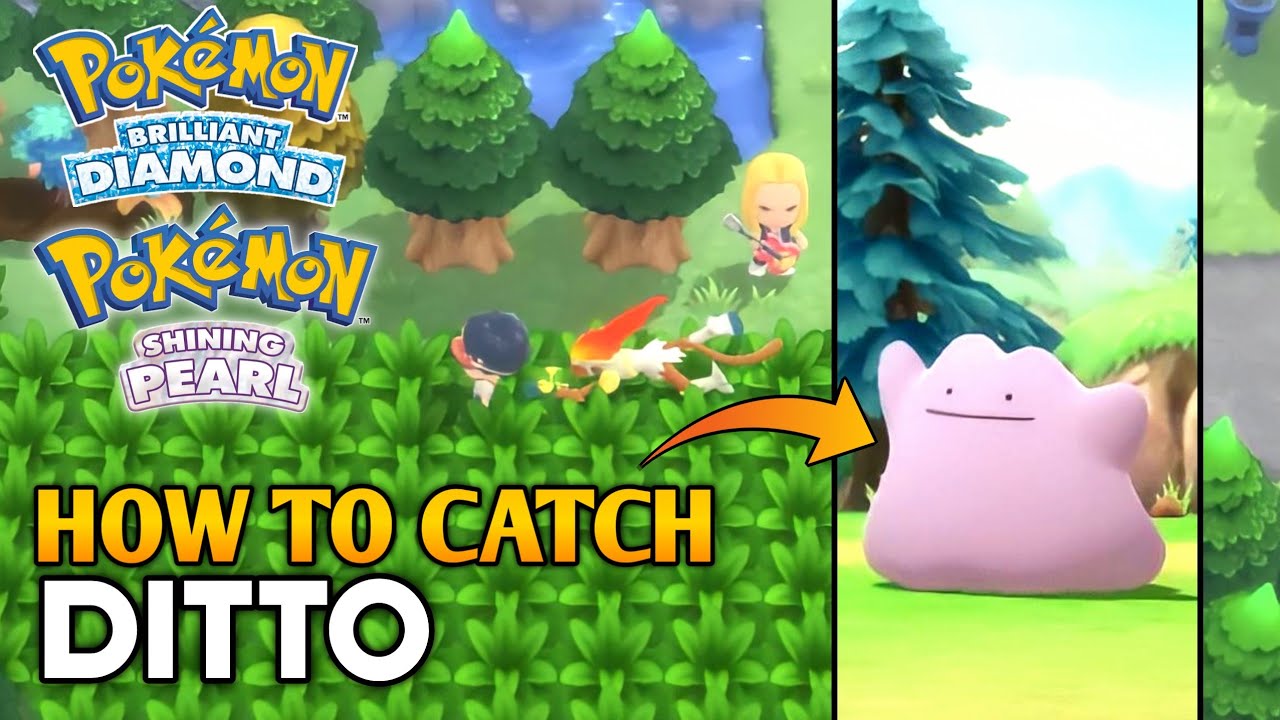 How To Get Ditto In Pokemon Brilliant Diamond & Pokemon Shining Pearl (Ditto  Location) 