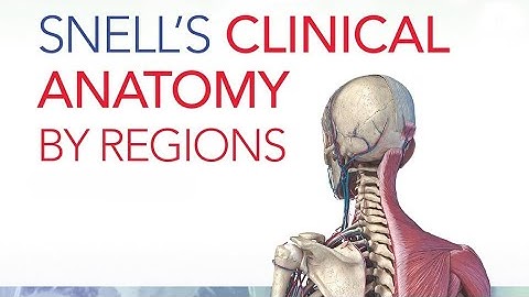 CHAPTER 5 - Thorax Part II: Thoracic Cavity and Cardiac Anatomy