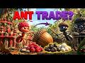 Black Ant vs Red Ant The Giant Acorn Fortress War