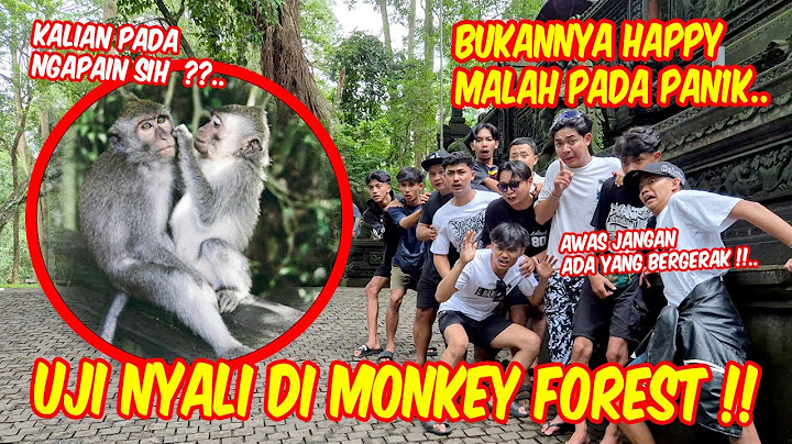 BUKANNYA HAPPY MALAH PARNO !! Liburan ke Monkey Forest paling kocak bareng KUSUMAWARA