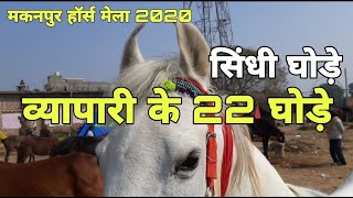 मकनपुर के सस्ते घोड़े | मकनपुर हॉर्स मेला | makanpur horse mela 2020 | pkraj vlogs