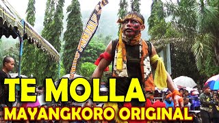 Dj TE MOLLA - Versi Bantengan Suroo MAYANGKORO ORIGINAL