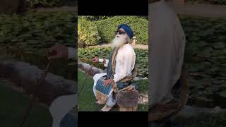 Sadhguru Is Back In The Lap Of Nature