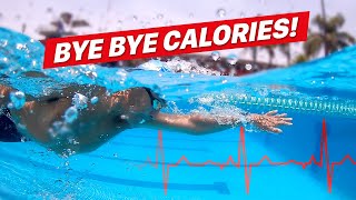 5 Ways to Burn More Calories When You Swim