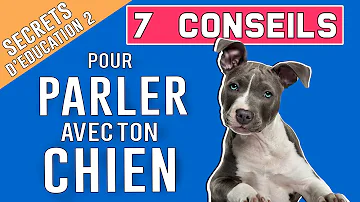 Comment parler à son chien