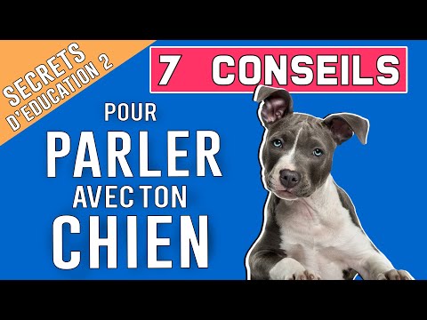 7 conseils pour PARLER avec TON CHIEN