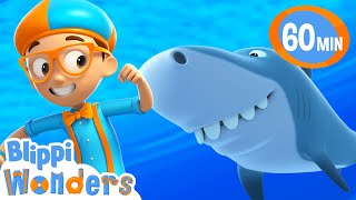 Shark Escape | Blippi Wonders | Rescue Adventures