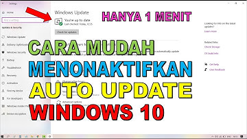 How to Disable the Latest Windows 10 Updates