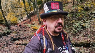 Autumn Ancient Woodland Wander