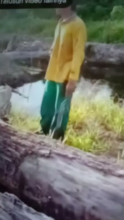 Detik detik manusia dimakan buaya Kalimantan Utara #shorts
