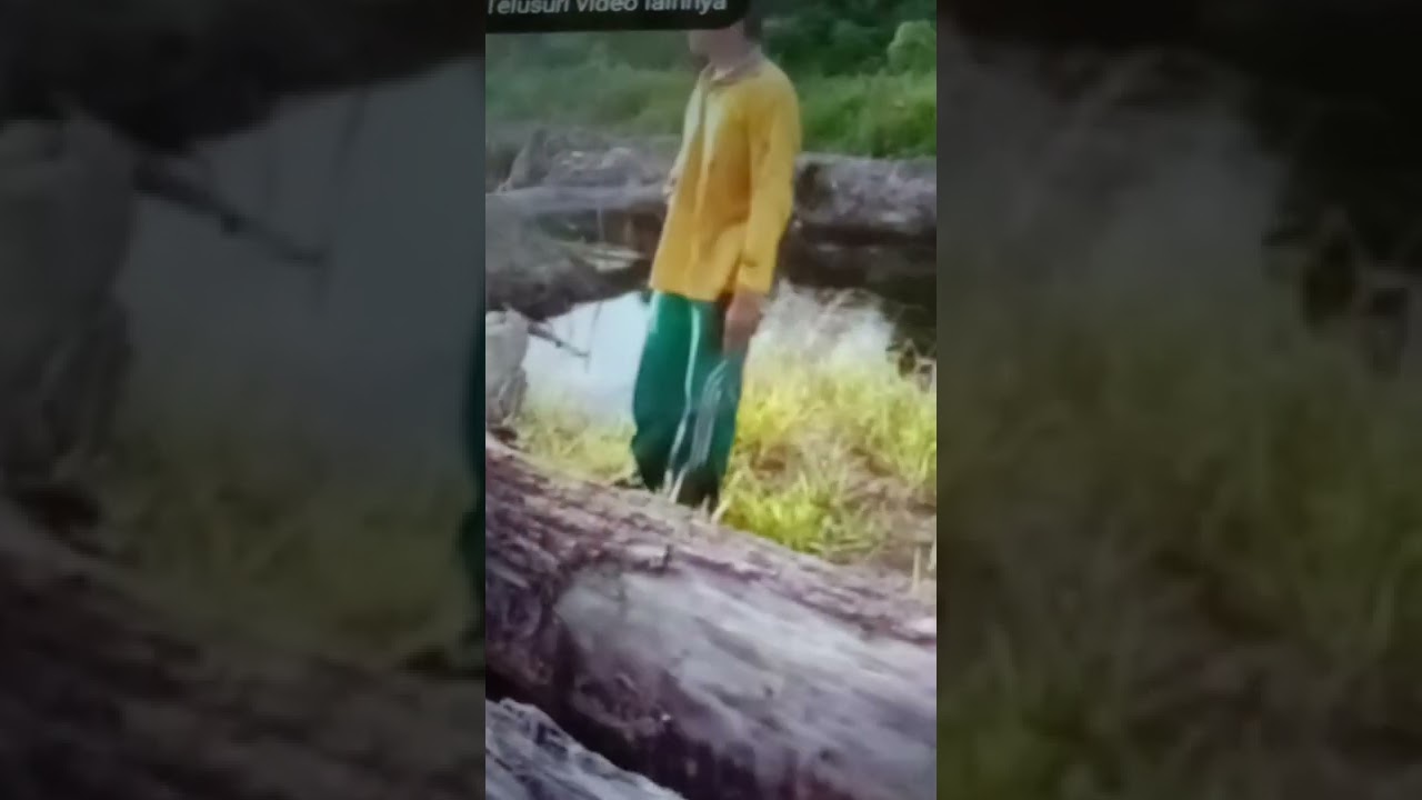 Detik detik manusia dimakan buaya Kalimantan Utara 