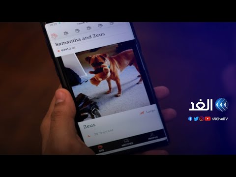 فيديو: تدخل شركة تيتان لصناعة الحيوانات الأليفة عبر الإنترنت سوق صيدليات الحيوانات الأليفة من خلال تقديم أدوية الحيوانات الأليفة التي تصرف بوصفة طبية