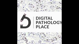 88: Artificial Intelligence & Machine Learning: Transforming Pathology | Webinar